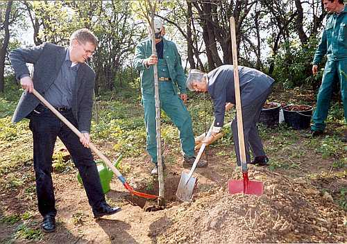 kumen.Baumpflanzaktion_am_Todesmarschweg___Pf.Kmpf.Ross